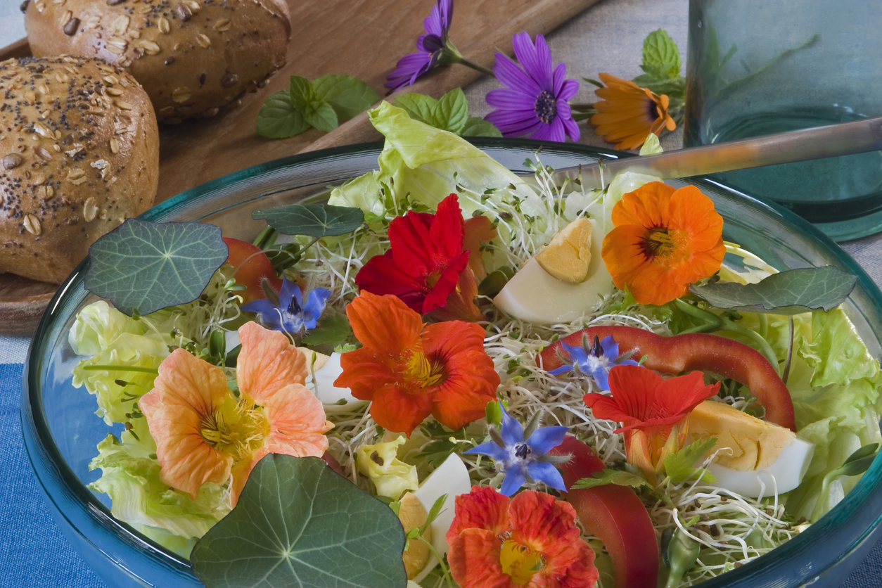 Natures Garnish: Edible Flowers • Adopted Tomato Garden